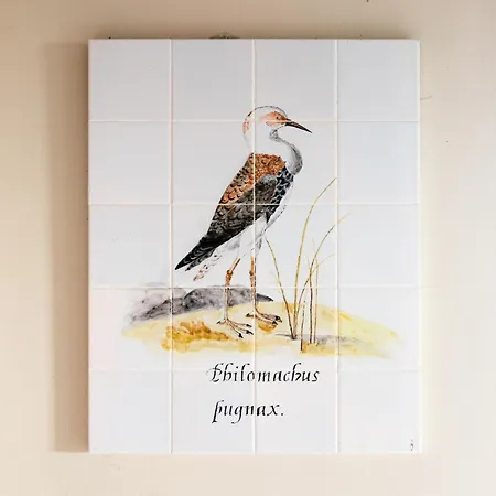 Ferme De L'airbois - 12pers Et 14pers Yvoir